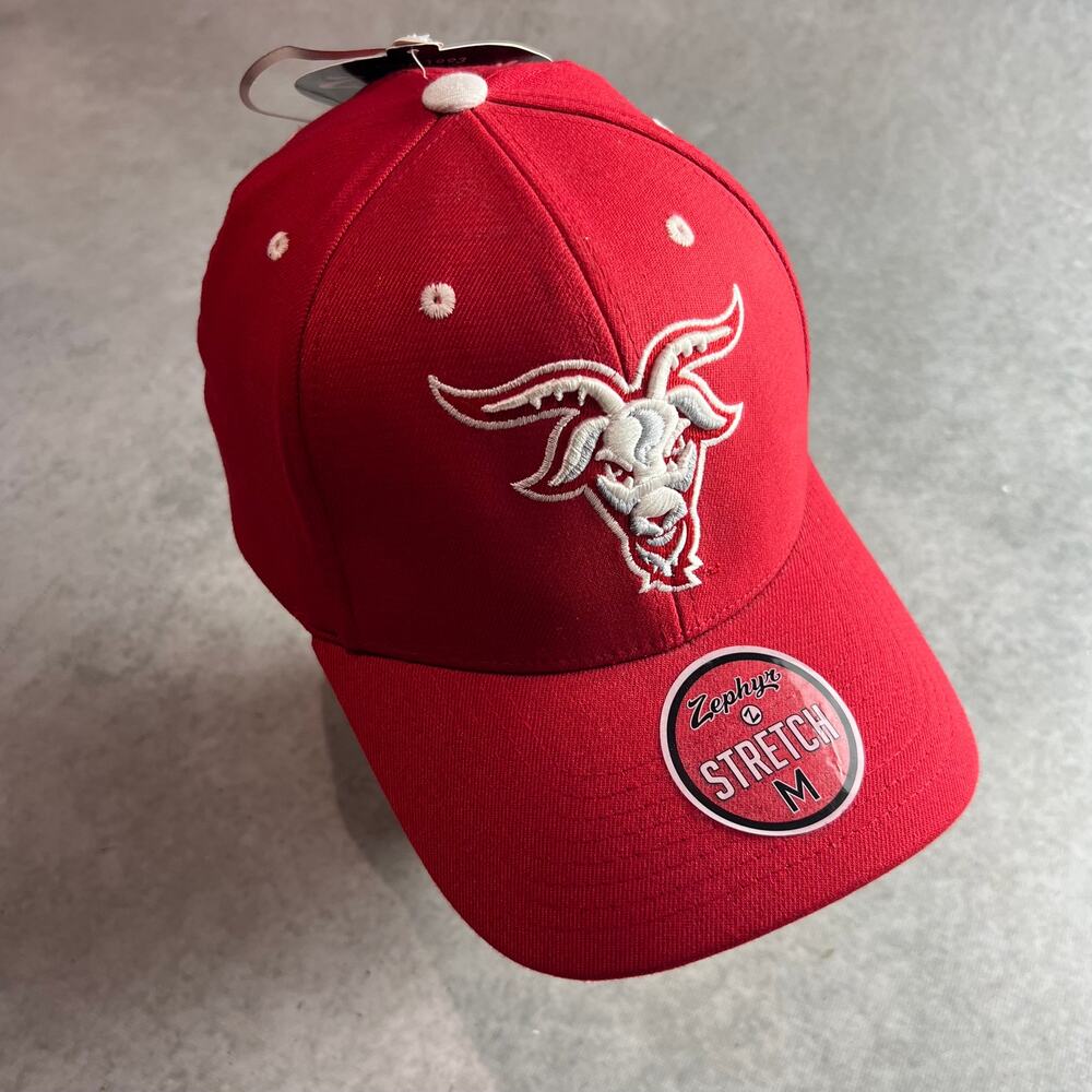 Worcester Polytechnic Institute Engineers Champion Zephyr Hats Size Medium